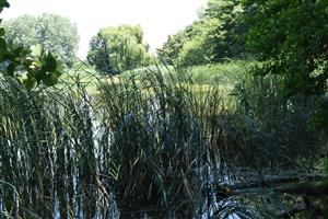 Celkový pohľad na lokality