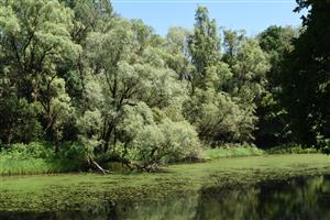 Celkový pohľad na TML