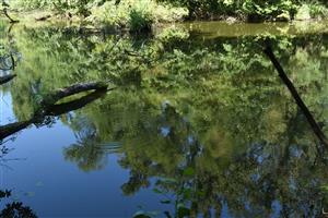 Celkový pohľad na lokalitu
