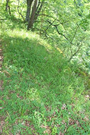 Záber na TMP.