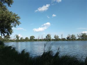 Pohľad na severnú časť TML Veľkoblahovské rybníky, foto: 11.7.2022, J.Lengyel.