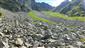Karbonátové skalné sutiny alpínskeho až montánneho stupňa (23.7.2022)