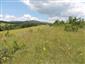 Suchomilné travinnobylinné a krovinové porasty na vápnitom podloží (*dôležité stanovištia Orchideaceae) (21.6.2014)