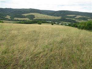 Pohľad na južnú časť TML