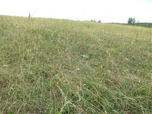 Detail spoločenstva na TML 