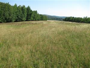 Celkový pohľad na TML