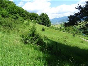 horná časť lokality