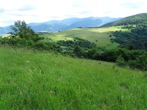 dolná časť lokality