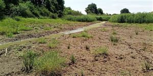 Pohľad na jedinú vodnú plochu na lokalite a južný záver tml.