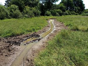 Pohľad na stav lokality približne v jej strednej časti.
