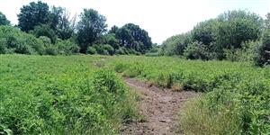 Pohľad na lokalitu zo severného okraja tml smerom na juh.