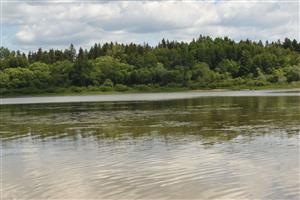 Celkový pohľad na lokalitu so sporadickým výskytom vodných rastlín, najmä Potamogeton gramineus