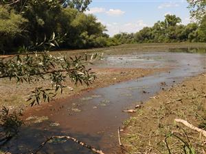 Južná časť lokality s vodou už len v najhlbších častiach.