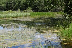 Celkový pohľad na TML