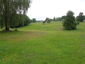 porast, južná časť TML