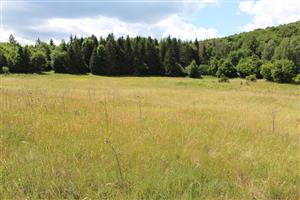 Záber na monitorovaný biotop. 