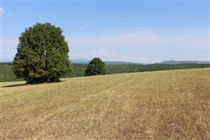 Záber na monitorovaný biotop. 