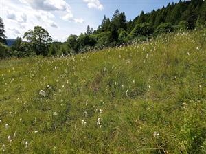 pohľad na najkrajšiu časť TML