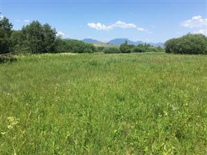 pohlad na JV cast lokality