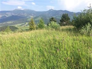 pohlad na TML v smere na JJV