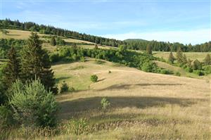 pohľad na lokalitu