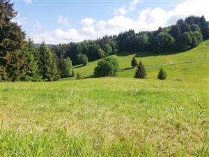 01 Pohľad na lokalitu