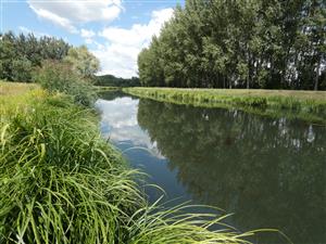 pohled proti proudu (na konci TML)