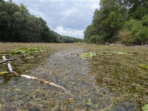 pohled na tůň z jihu na sever
