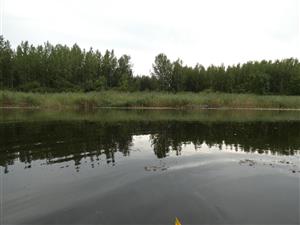 celkový pohled na lokalitu ze severu