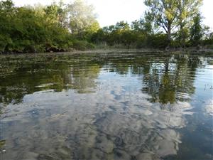 pohled ze zálivu směrem SZ