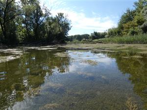 celkový pohled na lokalitu  
