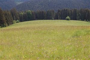 01 Pohľad na lokalitu I.