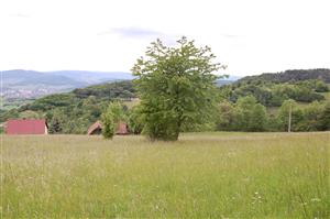 01 Pohľad na lokalitu I.