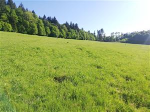 03 Pohľad na lokalitu I.