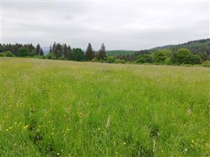 01 Pohľad na lokalitu I.