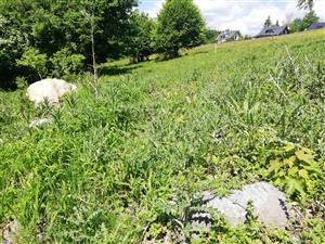 02 Pohľad na lokalitu II.