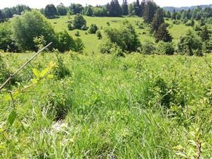 04 Pohľad na lokalitu IV.