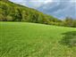 jašterica bystrá (16.5.2022)