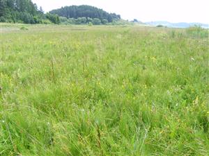 celkový pohľad na lokalitu