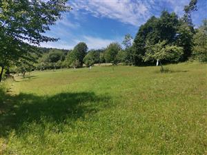 Pohľad na cca centrálnu časť využívanú ako extenzívny sad