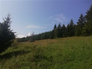 Nevyužívaná časť v strednej časti plochy nad cestou