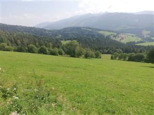 Pokosená časť v strede plochy pod cestou