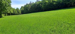 pohľad na vrchnú časť, jarný aspekt