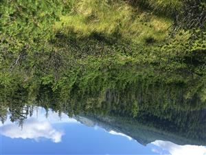 pohlad na TML v smere na Lomnicky stit