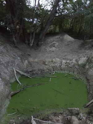 Pohľad na časť  TML slanisko Akomáň, Šurany, jedno z JV jazierok, foto: 7.9.2022, J.Lengyel.