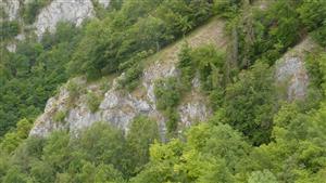 pohľad na bralo s výskytom jedincov Daphne arbuscula (v jz. časti TML)