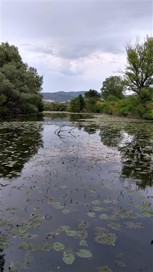 Celkový pohľad na monitorovanú lokalitu.
