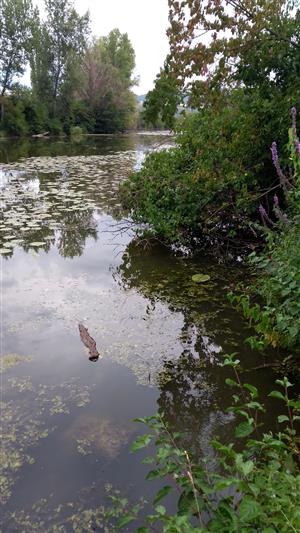 Pohľad na monitorovanú lokalitu.