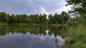 Celkový pohľad na monitorovaciu lokalitu.