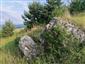 jašterica bystrá (4.8.2022)